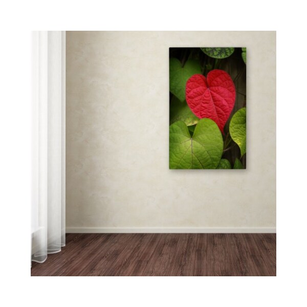 Trademark Fine Art Philippe Sainte-Laudy 'Heart to Take' Canvas Art, 12x19 - PSL0386-C1219GG