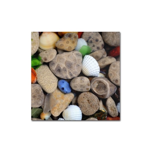 Trademark Fine Art Michelle Calkins 'PetoskeyStones V' Canvas Art, 18x18 - MC0206-C1818GG