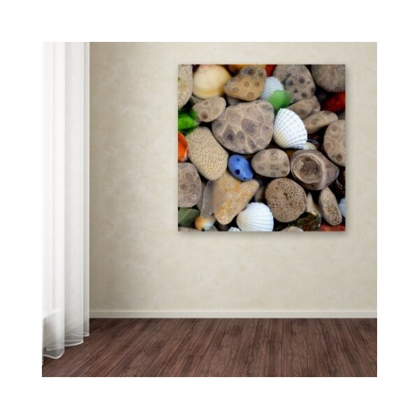 Trademark Fine Art Michelle Calkins 'PetoskeyStones V' Canvas Art, 18x18 - MC0206-C1818GG