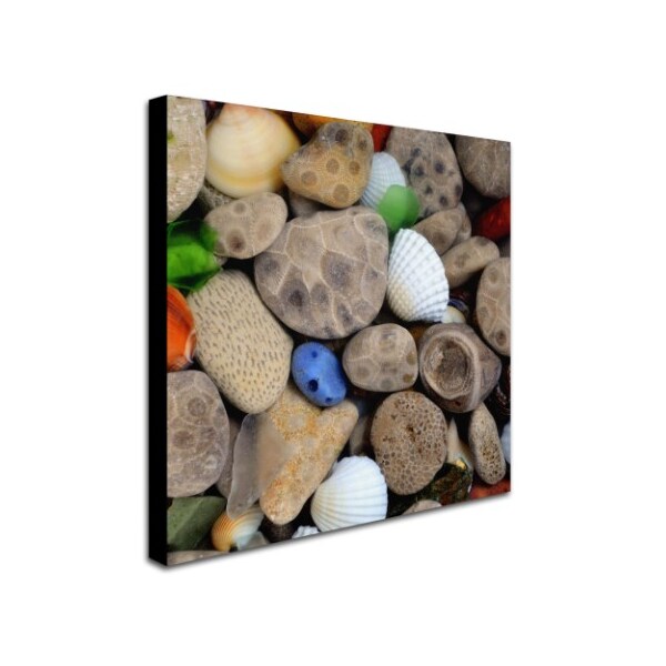 Trademark Fine Art Michelle Calkins 'PetoskeyStones V' Canvas Art, 18x18 - MC0206-C1818GG