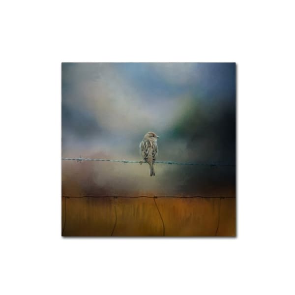 Trademark Fine Art Jai Johnson 'Fence Master' Canvas Art, 18x18 - ALI14417-C1818GG