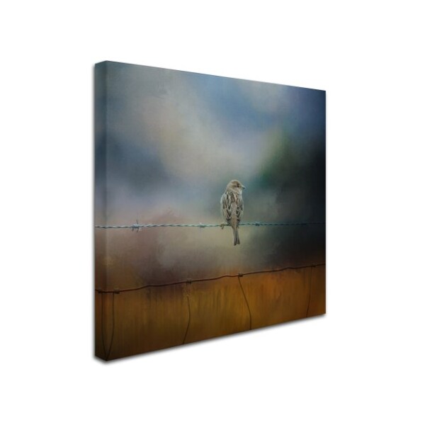 Trademark Fine Art Jai Johnson 'Fence Master' Canvas Art, 18x18 - ALI14417-C1818GG