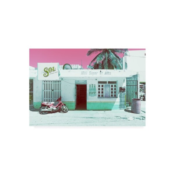 Trademark Fine Art Philippe Hugonnard 'Viva Mexico Mini Supermarket Vintage III' Canvas Art, 22x32 - PH01480-C2232GG