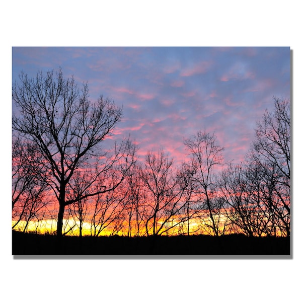 Trademark Fine Art Kurt Shaffer 'Winter Sunset' Canvas Art, 18x24 - KS467-C1824GG