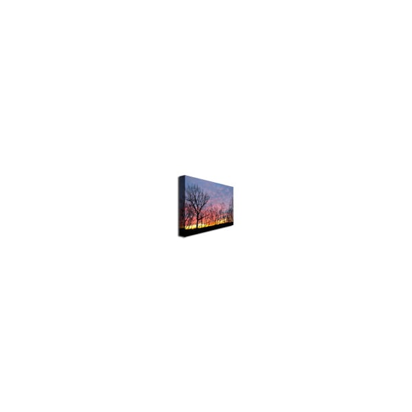 Trademark Fine Art Kurt Shaffer 'Winter Sunset' Canvas Art, 18x24 - KS467-C1824GG