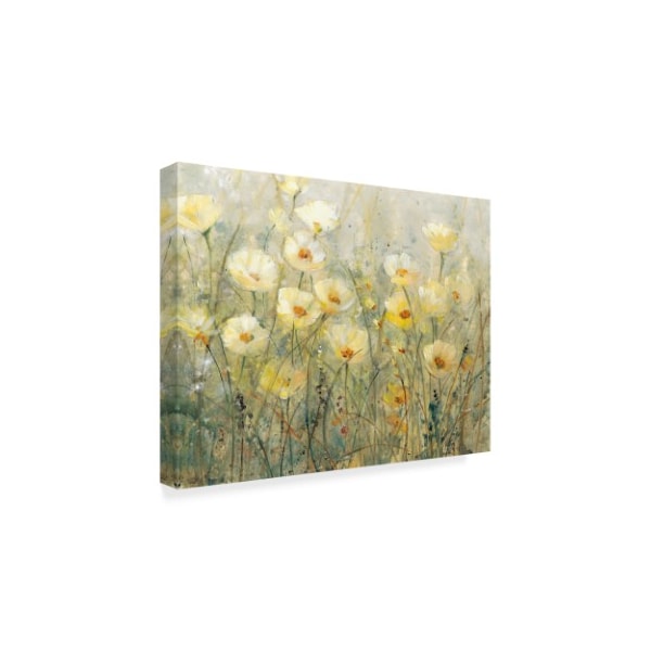 Trademark Fine Art Tim Otoole 'Summer In Bloom I' Canvas Art, 35x47 - WAG04404-C3547GG