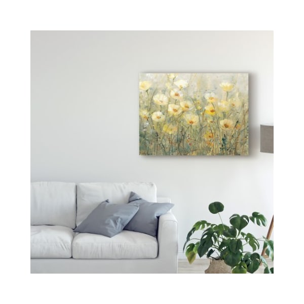 Trademark Fine Art Tim Otoole 'Summer In Bloom I' Canvas Art, 35x47 - WAG04404-C3547GG