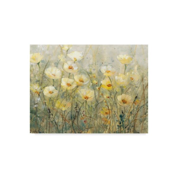 Trademark Fine Art Tim Otoole 'Summer In Bloom I' Canvas Art, 35x47 - WAG04404-C3547GG