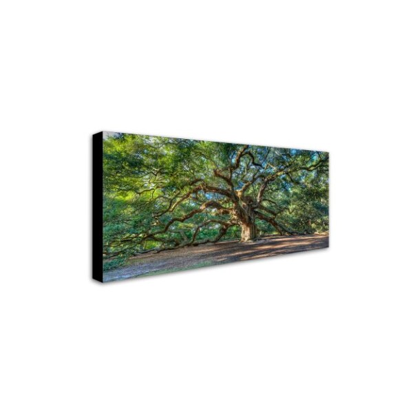 Trademark Fine Art Pierre Leclerc 'Angel Oak Charleston' Canvas Art, 24x47 - PL0001-C2447GG