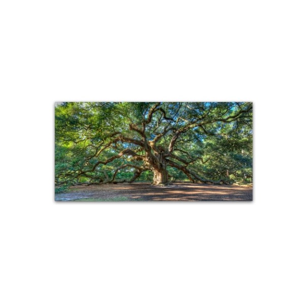 Trademark Fine Art Pierre Leclerc 'Angel Oak Charleston' Canvas Art, 24x47 - PL0001-C2447GG