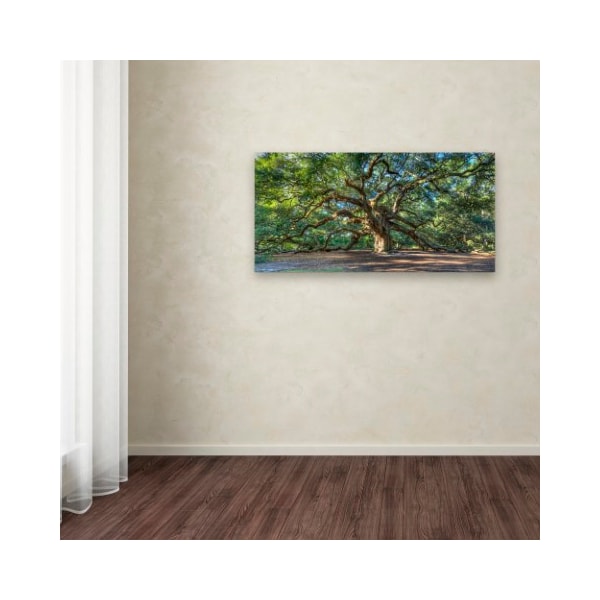 Trademark Fine Art Pierre Leclerc 'Angel Oak Charleston' Canvas Art, 24x47 - PL0001-C2447GG