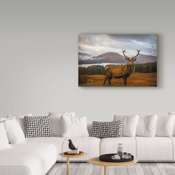 Trademark Fine Art Adrian Popan 'Scottish Stag' Canvas Art, 16x24 - 1X04766-C1624GG