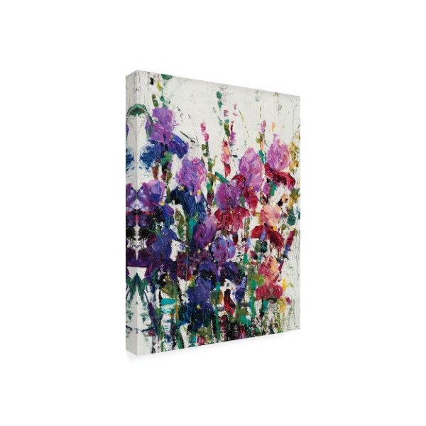 Trademark Fine Art Tim Otoole 'Iris Blooming Ii' Canvas Art, 18x24 - WAG11444-C1824GG