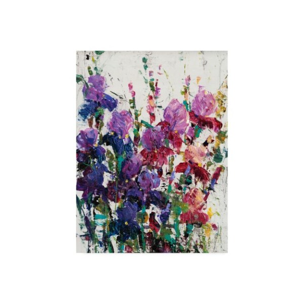 Trademark Fine Art Tim Otoole 'Iris Blooming Ii' Canvas Art, 18x24 - WAG11444-C1824GG