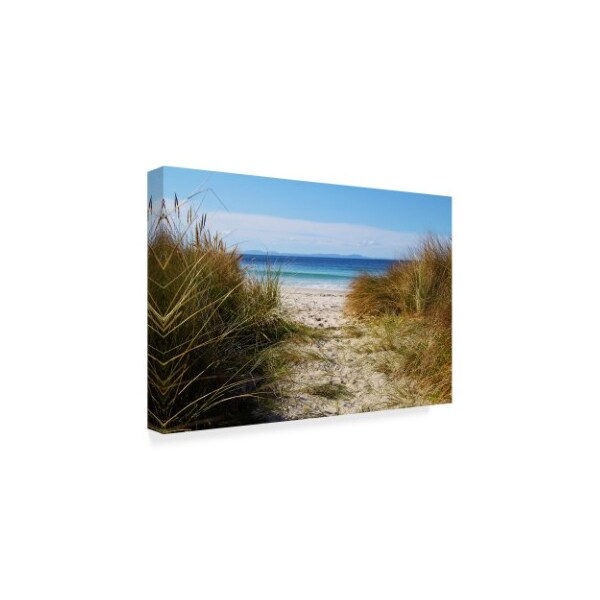 Trademark Fine Art Incredi 'To The Beach' Canvas Art, 30x47 - ALI36138-C3047GG