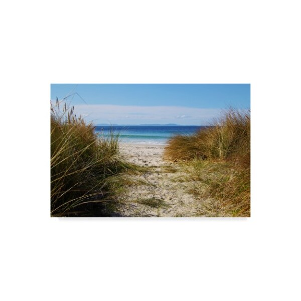 Trademark Fine Art Incredi 'To The Beach' Canvas Art, 30x47 - ALI36138-C3047GG
