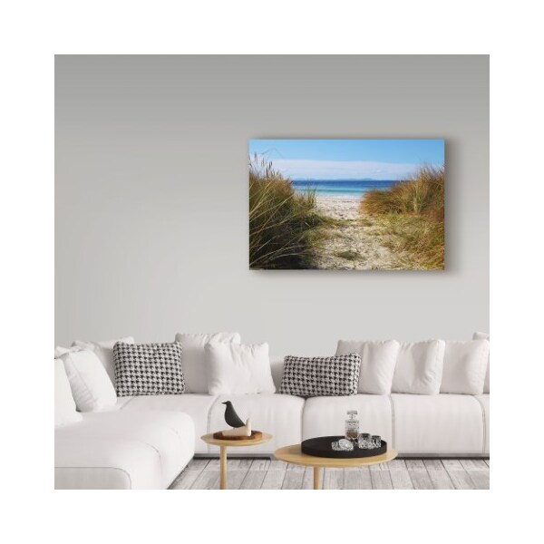 Trademark Fine Art Incredi 'To The Beach' Canvas Art, 30x47 - ALI36138-C3047GG