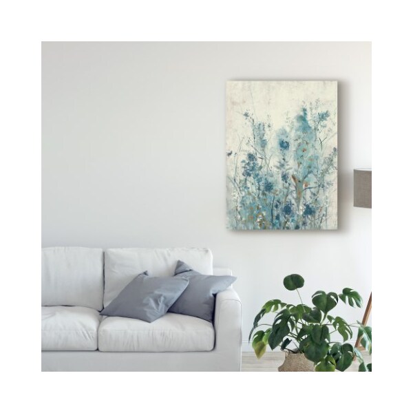 Trademark Fine Art Tim Otoole 'Blue Spring Ii' Canvas Art, 24x32 - WAG08403-C2432GG