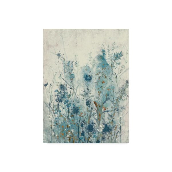 Trademark Fine Art Tim Otoole 'Blue Spring Ii' Canvas Art, 24x32 - WAG08403-C2432GG