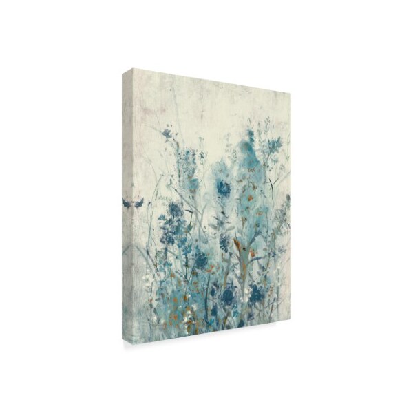 Trademark Fine Art Tim Otoole 'Blue Spring Ii' Canvas Art, 24x32 - WAG08403-C2432GG