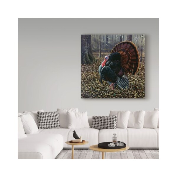 Trademark Fine Art Wilhelm Goebel 'The King Of Spring Wild Turkey' Canvas Art, 35x35 - ALI33845-C3535GG