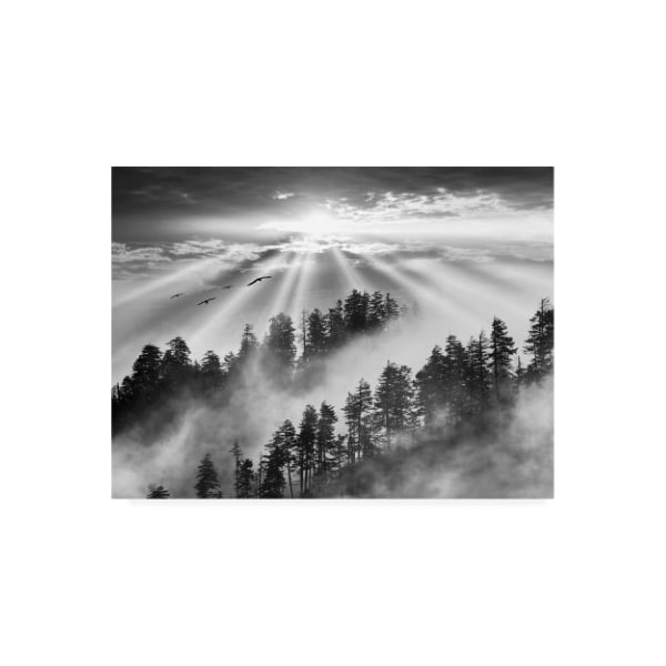 Trademark Fine Art Monte Nagler 'Smoky Mountain Sunrise Tennessee Black And White' Canvas Art, 35x47 - ALI44898-C3547GG