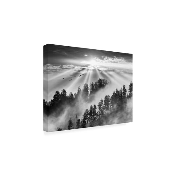 Trademark Fine Art Monte Nagler 'Smoky Mountain Sunrise Tennessee Black And White' Canvas Art, 35x47 - ALI44898-C3547GG