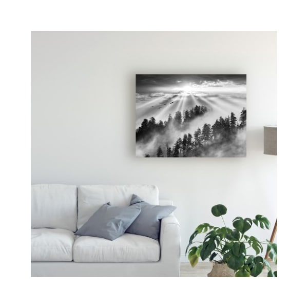Trademark Fine Art Monte Nagler 'Smoky Mountain Sunrise Tennessee Black And White' Canvas Art, 35x47 - ALI44898-C3547GG