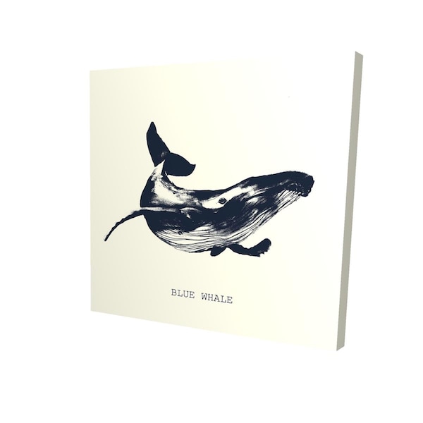 Fondo 16 x 16 in. Blue Whale Sketch-Print on Canvas - FO3336839