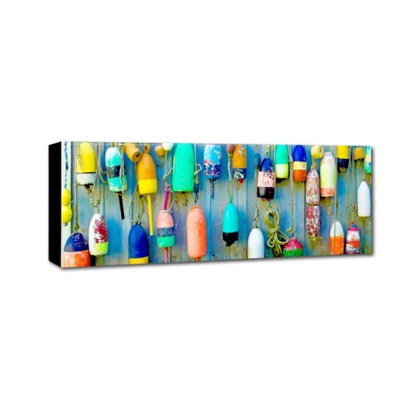Trademark Fine Art Preston 'Floaters' Canvas Art, 10x32 - EM0512-C1032GG
