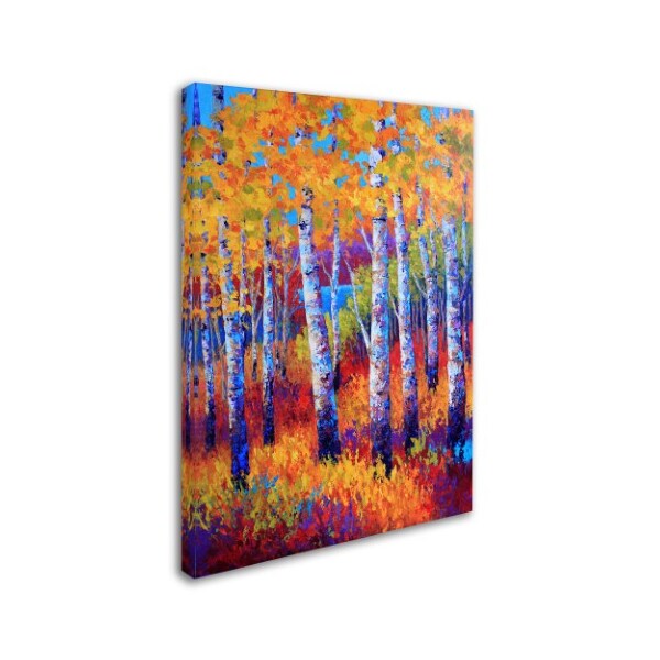 Trademark Fine Art Marion Rose 'Judy Path to the Lake' Canvas Art, 14x19 - ALI15328-C1419GG