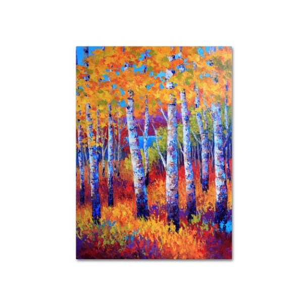 Trademark Fine Art Marion Rose 'Judy Path to the Lake' Canvas Art, 14x19 - ALI15328-C1419GG