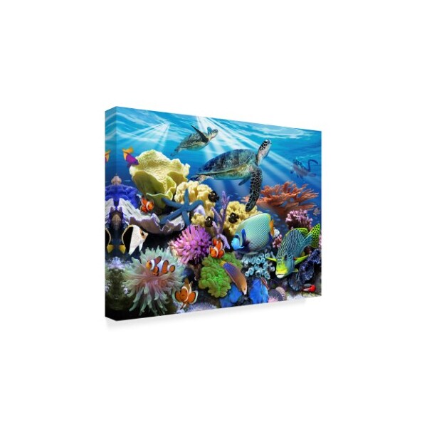Trademark Fine Art Howard Robinson 'Reef Turtles' Canvas Art, 14x19 - ALI23920-C1419GG