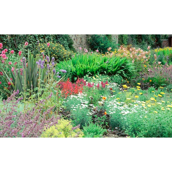 Biggies Scenes Window Well Scenes-Flower, 120 in wide x 60 in high - BG-WW-FWR-120