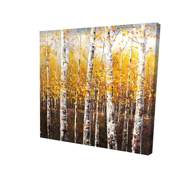 Begin Home Decor 16 x 16 in. Birches by Sunny Day-Print on Canvas - 2080-1616-LA31