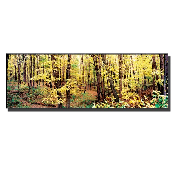 Trademark Fine Art Preston 'Trees' Canvas Art, 6x19 - EM046-C619GG