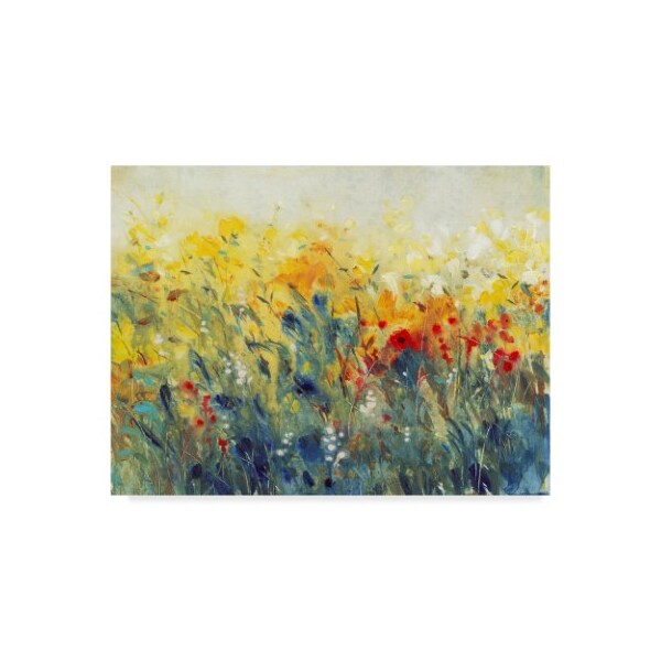 Trademark Fine Art Tim Otoole 'Flowers Sway I' Canvas Art, 35x47 - WAG01915-C3547GG