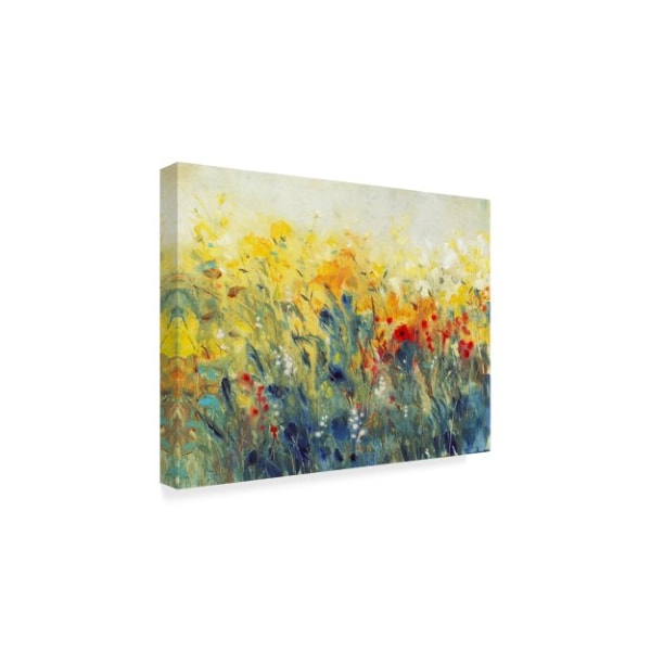 Trademark Fine Art Tim Otoole 'Flowers Sway I' Canvas Art, 35x47 - WAG01915-C3547GG