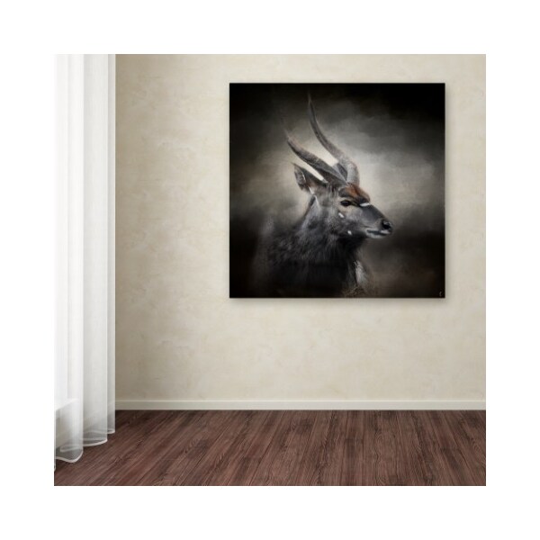 Trademark Fine Art Jai Johnson 'Waiting For The Storm Nyala Buck' Canvas Art, 24x24 - ALI13999-C2424GG