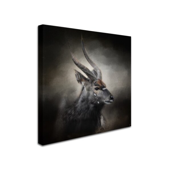 Trademark Fine Art Jai Johnson 'Waiting For The Storm Nyala Buck' Canvas Art, 24x24 - ALI13999-C2424GG