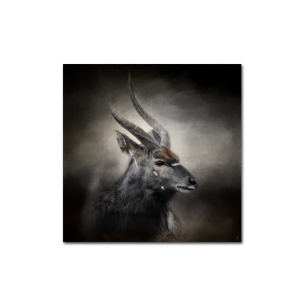 Trademark Fine Art Jai Johnson 'Waiting For The Storm Nyala Buck' Canvas Art, 24x24 - ALI13999-C2424GG