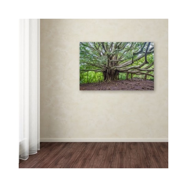 Trademark Fine Art Pierre Leclerc 'Banyan' Canvas Art, 30x47 - PL0090-C3047GG