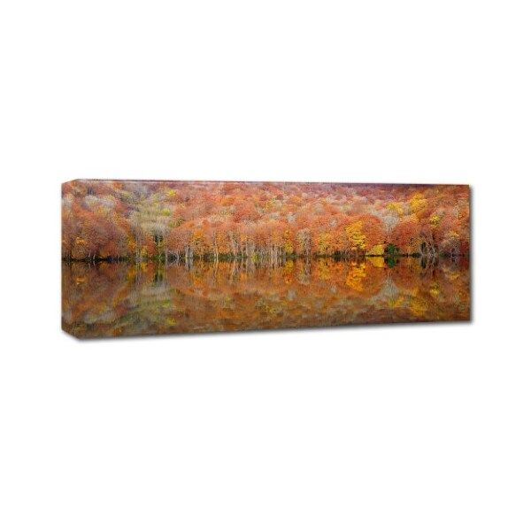 Trademark Fine Art Sho Shibata 'Glowing Autumn' Canvas Art, 16x47 - 1X02804-C1647GG