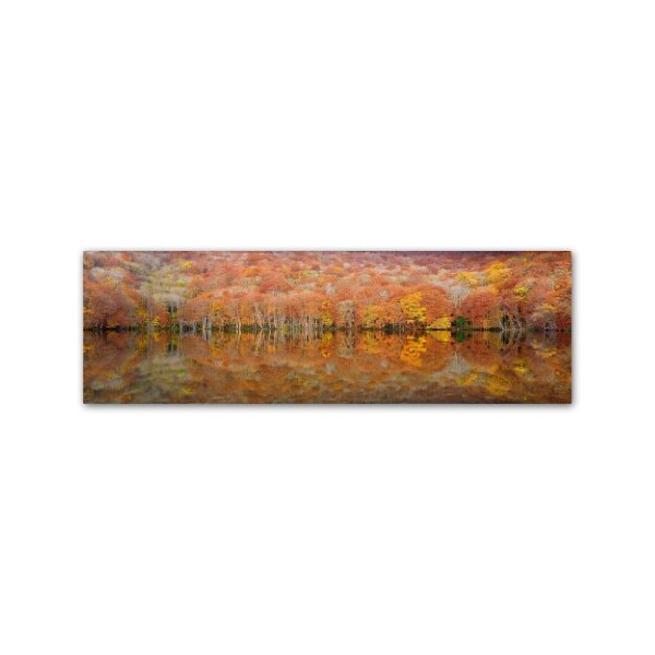 Trademark Fine Art Sho Shibata 'Glowing Autumn' Canvas Art, 16x47 - 1X02804-C1647GG