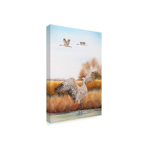 Trademark Fine Art Jean Plout 'Sandhill Cranes' Canvas Art, 12x19 - ALI30105-C1219GG