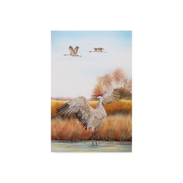 Trademark Fine Art Jean Plout 'Sandhill Cranes' Canvas Art, 12x19 - ALI30105-C1219GG