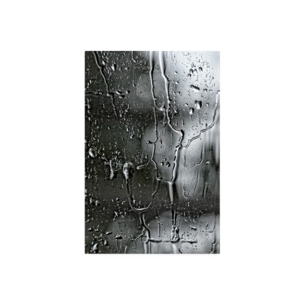 Trademark Fine Art Beata Czyzowska Young 'BC Letting go' Canvas Art, 30x47 - BC00622-C3047GG