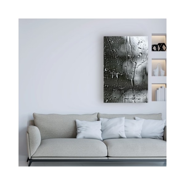 Trademark Fine Art Beata Czyzowska Young 'BC Letting go' Canvas Art, 30x47 - BC00622-C3047GG