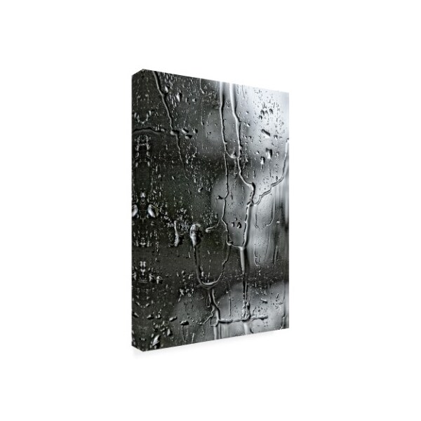 Trademark Fine Art Beata Czyzowska Young 'BC Letting go' Canvas Art, 30x47 - BC00622-C3047GG