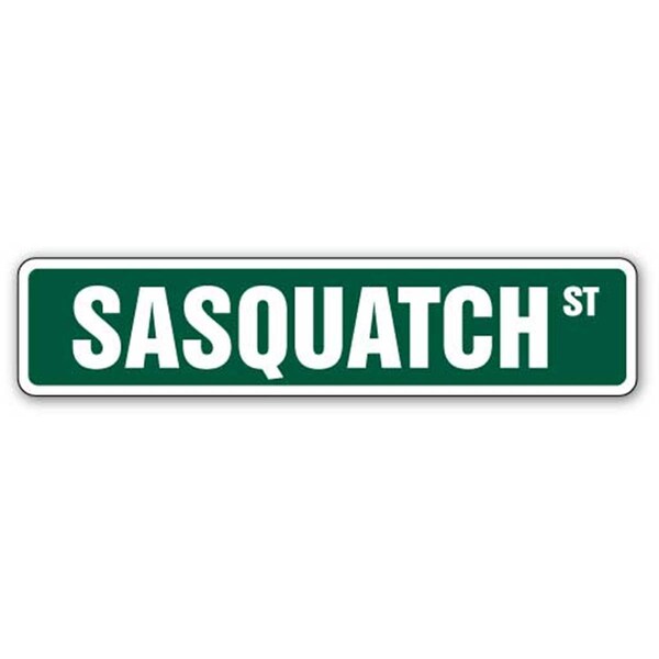 Amistad 1.5 x 7 in. Sasquatch Street Decal - Bigfoot Ape Like Animal Believer - AM3948095